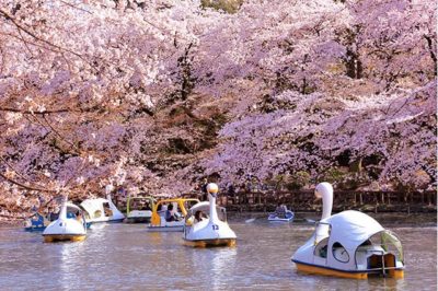 井の頭恩賜公園