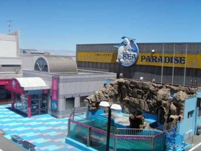 伊勢夫婦岩ふれあい水族館シーパラダイス1
