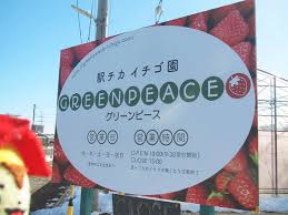駅チカイチゴ園｢GREENPEACE｣
