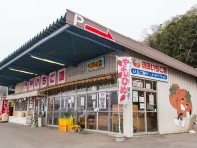 須田いちご園