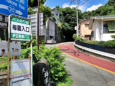 熱海梅園1