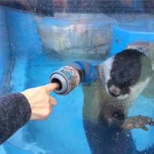 伊勢夫婦岩ふれあい水族館シーパラダイス3