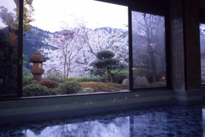 湯河原温泉｢ふきや旅館｣内風呂からの桜