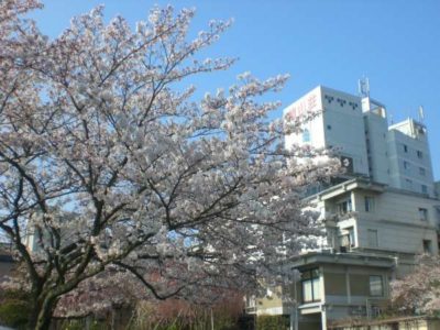 雄山荘　外観