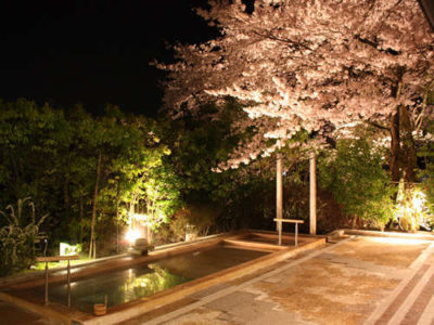 雄山荘　夜桜ライトアップ