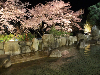 望川館（ぼうせんかん）花見露天風呂2