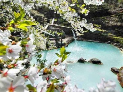 泡の湯　花見露天1