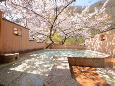 よもぎ埜　森と桜の湯