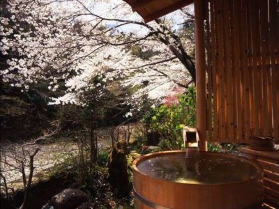 厚木飯山温泉　元湯旅館　花見露天