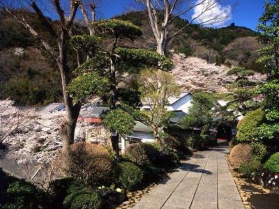 厚木飯山温泉　元湯旅館