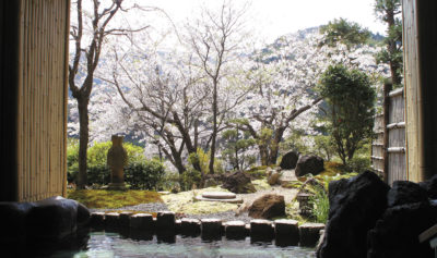 湯河原温泉｢ふきや旅館｣露天岩風呂からの桜