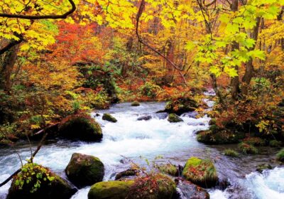 阿修羅の流れ　 秋