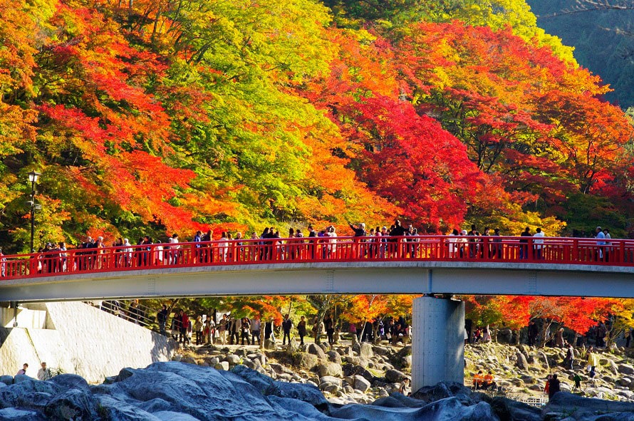 香嵐渓待月橋からの紅葉の眺め