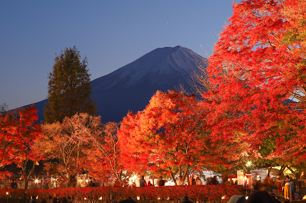 もみじ回廊と富士山
