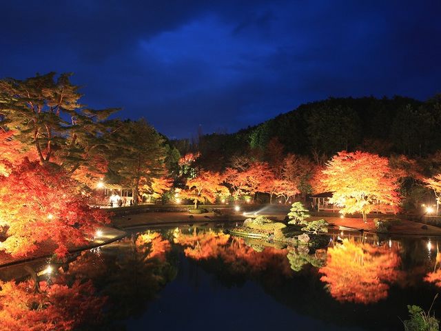 修善寺 虹の郷　紅葉