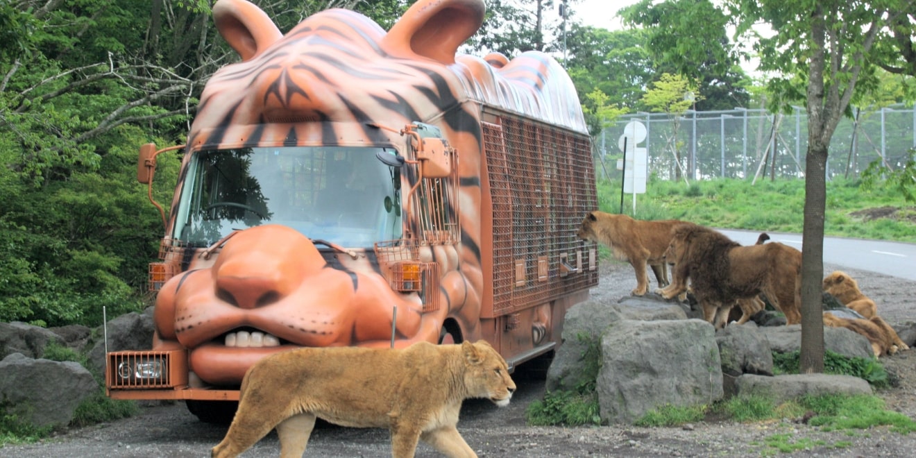 サファリゾーン
