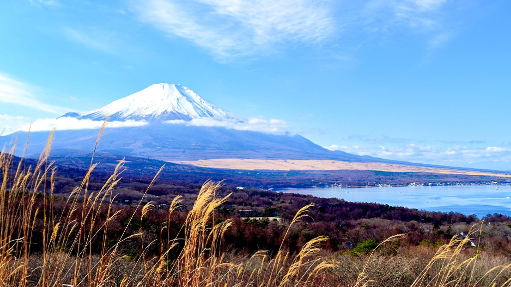 秋の山中湖パノラマ台