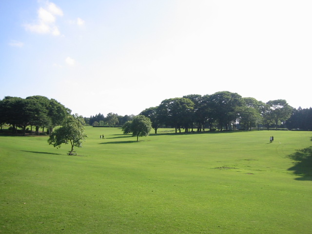 広大な芝生広場をはじめ、太平洋を望める展望台やアスレチック遊具もあり、心やすらぐアウトドアスポットとなっています。