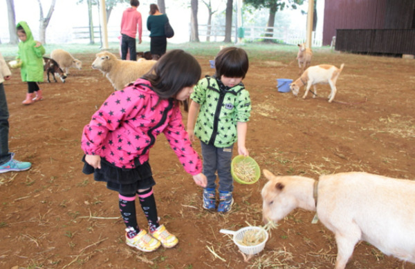 成田ゆめ牧場